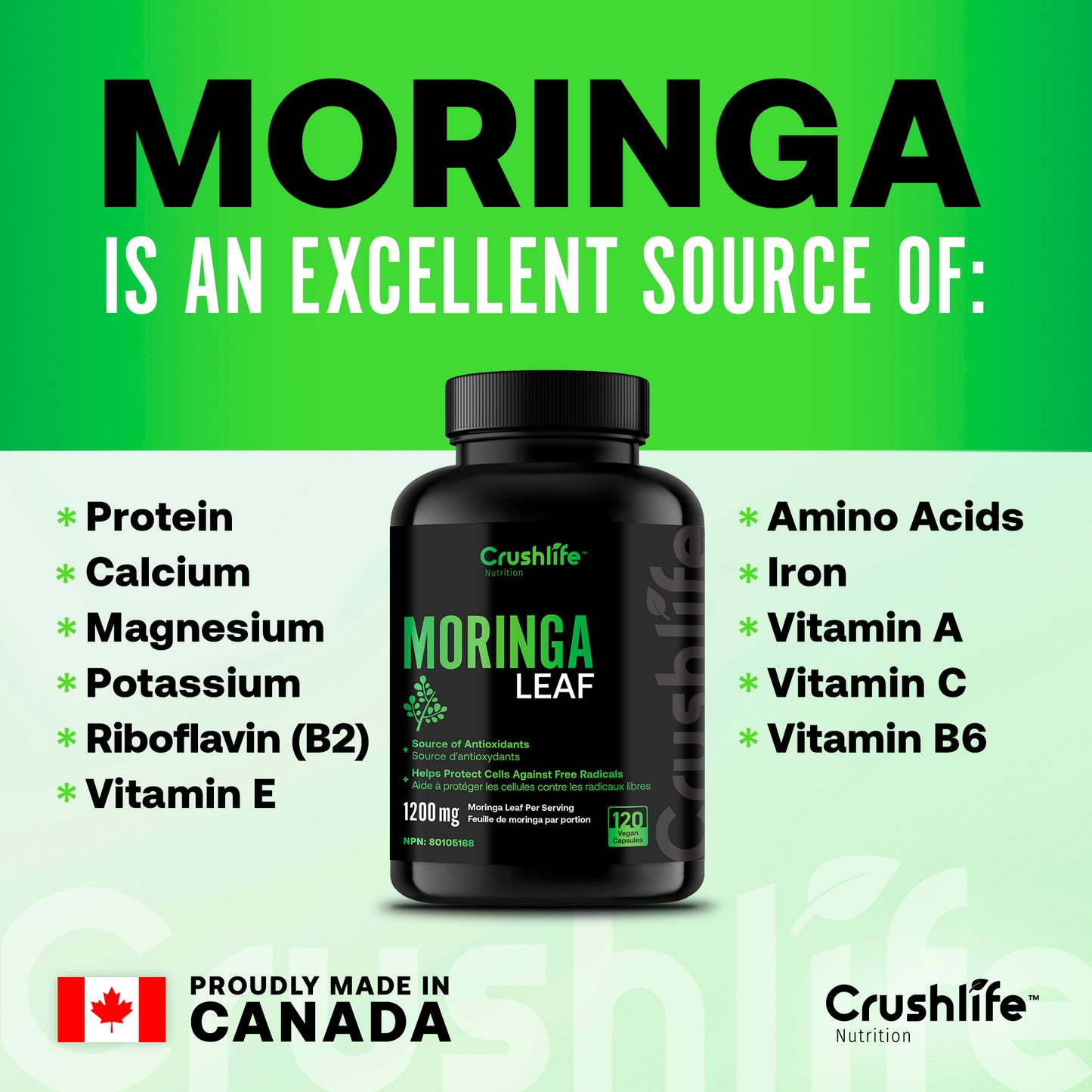 Organic Moringa Leaf – 120 Capsules