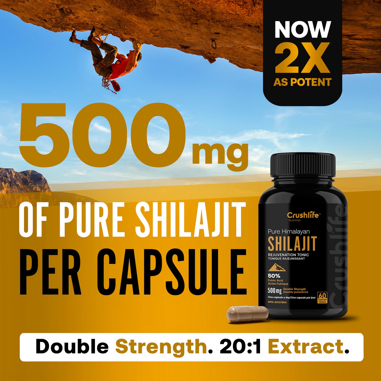 Pure Himalayan Shilajit - 60 Capsules