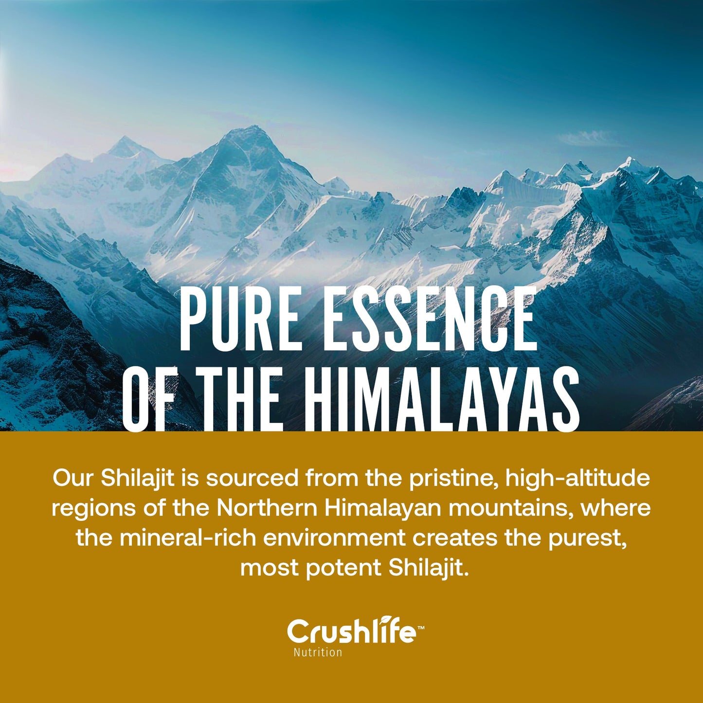 Pure Himalayan Shilajit - 60 Capsules